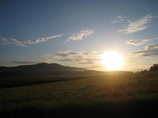 Domaine Des Buis Hotel Albon Buitenkant foto